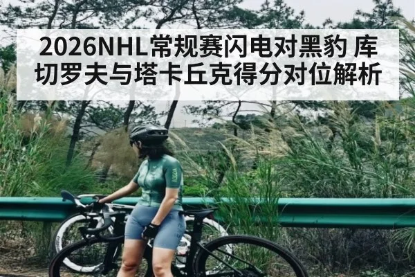 2026NHL常规赛闪电对黑豹 库切罗夫与塔卡丘克得分对位解析